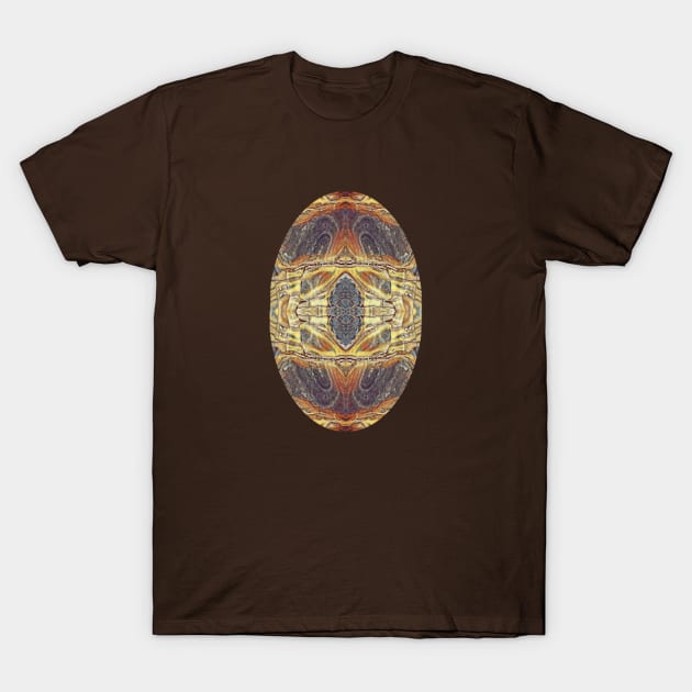 Stone Ornament T-Shirt by Bubba C.